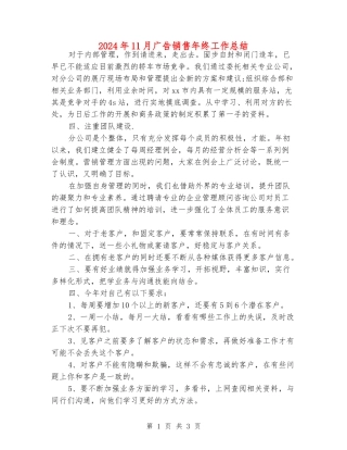 2024年11月广告销售年终工作总结