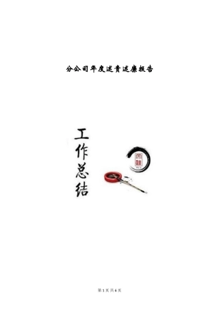 分公司年度述责述廉报告