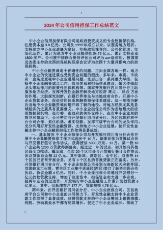 2024年公司信用担保工作总结范文