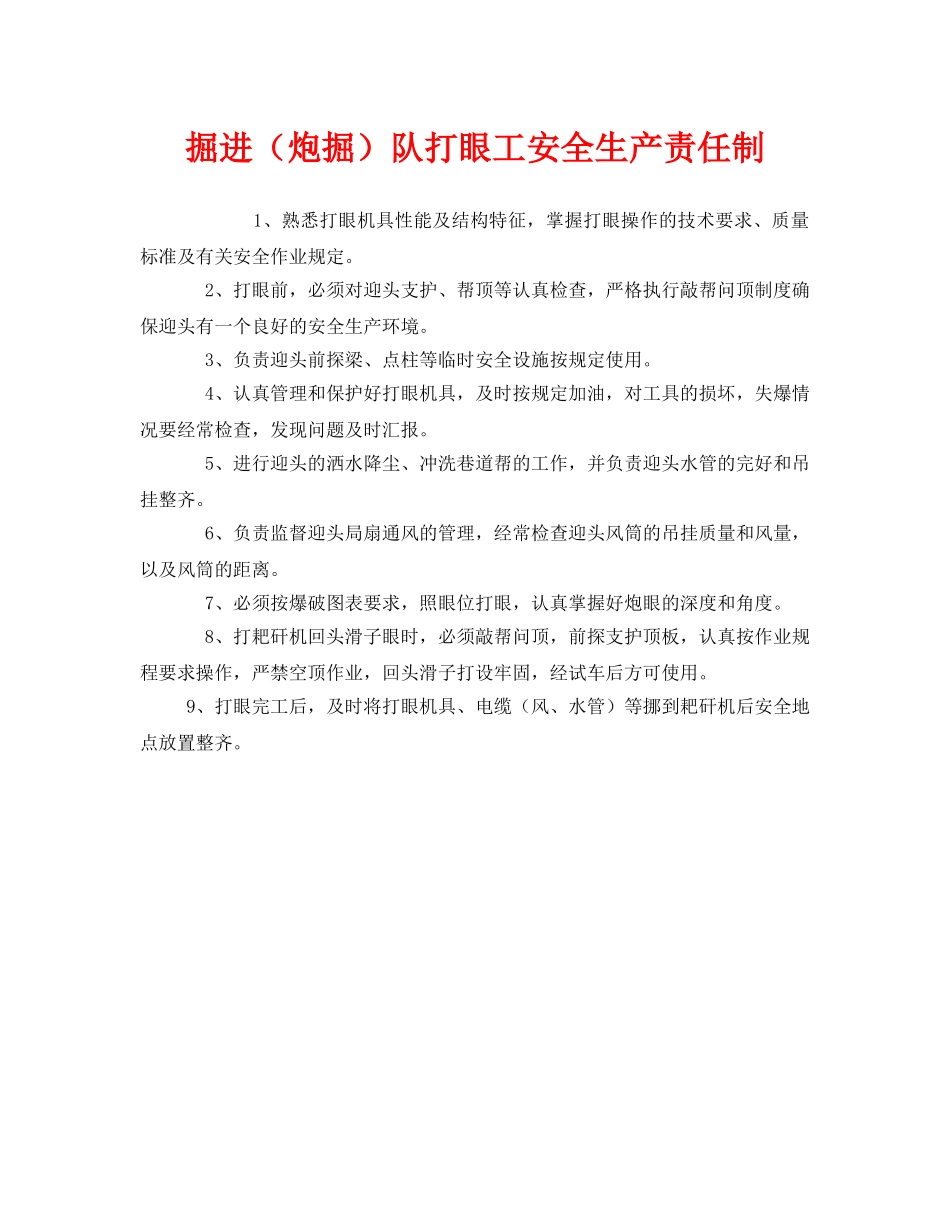 《安全管理制度》之掘进（炮掘）队打眼工安全生产责任制 _第1页