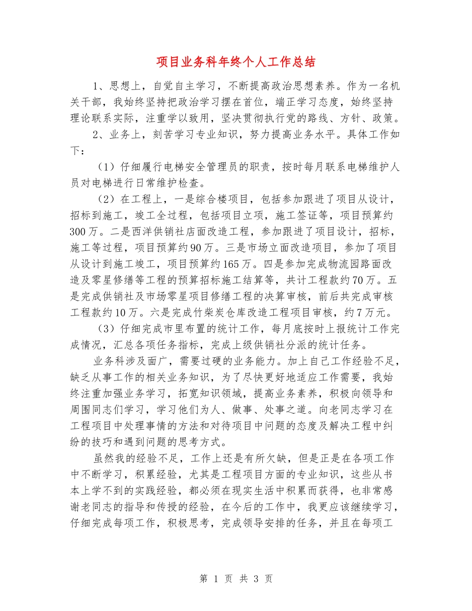 项目业务科年终个人工作总结_第1页