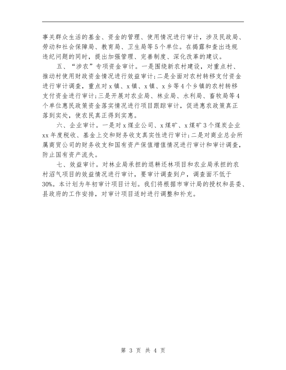2024年审计工作计划样例_第3页