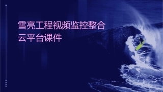 雪亮工程视频监控整合云平台课件
