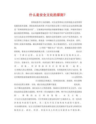《安全文化》之什么是安全文化的原则？ 