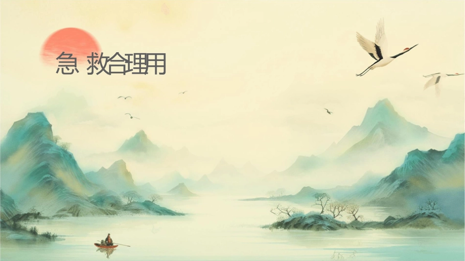 急诊抢救合理用药护理课件_第1页