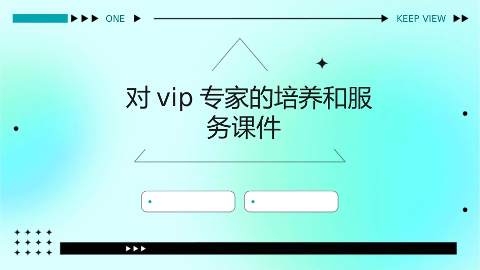 对VIP专家的培养和服务课件_第1页