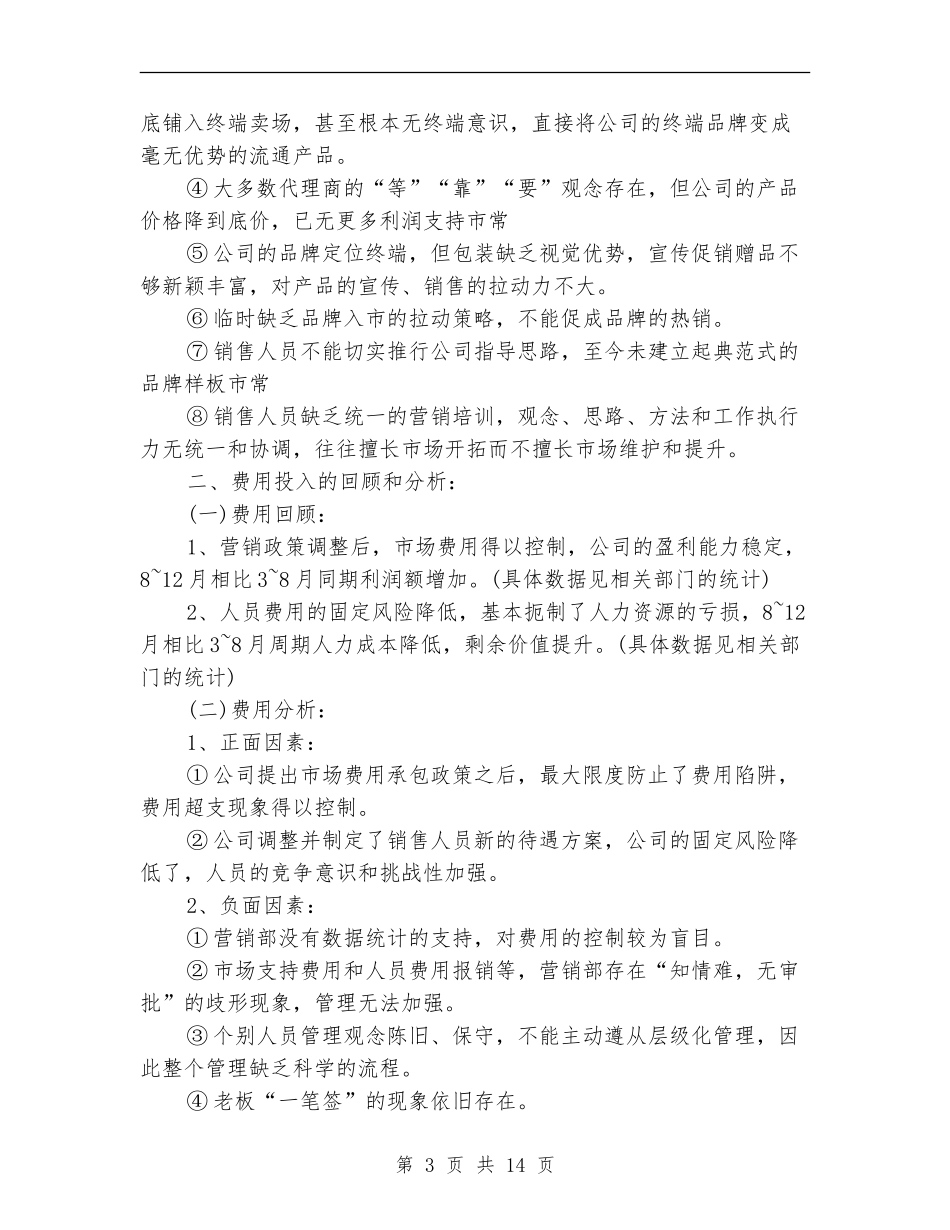 2024年销售总监工作总结范文4篇_第3页