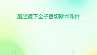 腹腔镜下全子宫切除术课件