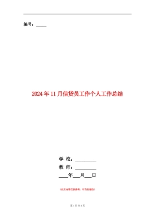 2024年11月信贷员工作个人工作总结