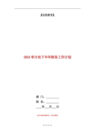 2024审计处下半年财务工作计划