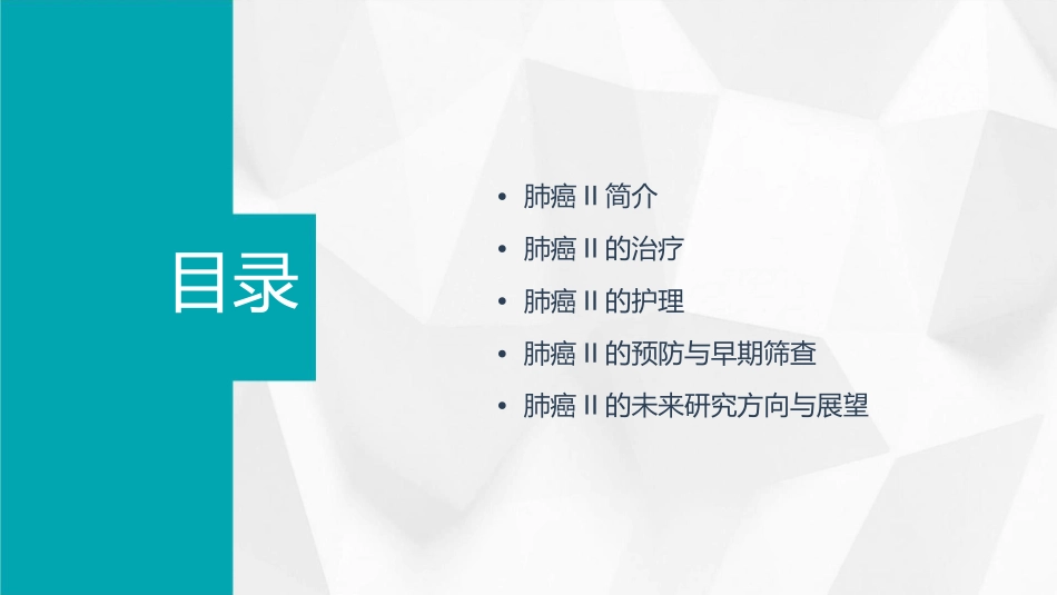 肺癌II治疗护理课件_第2页