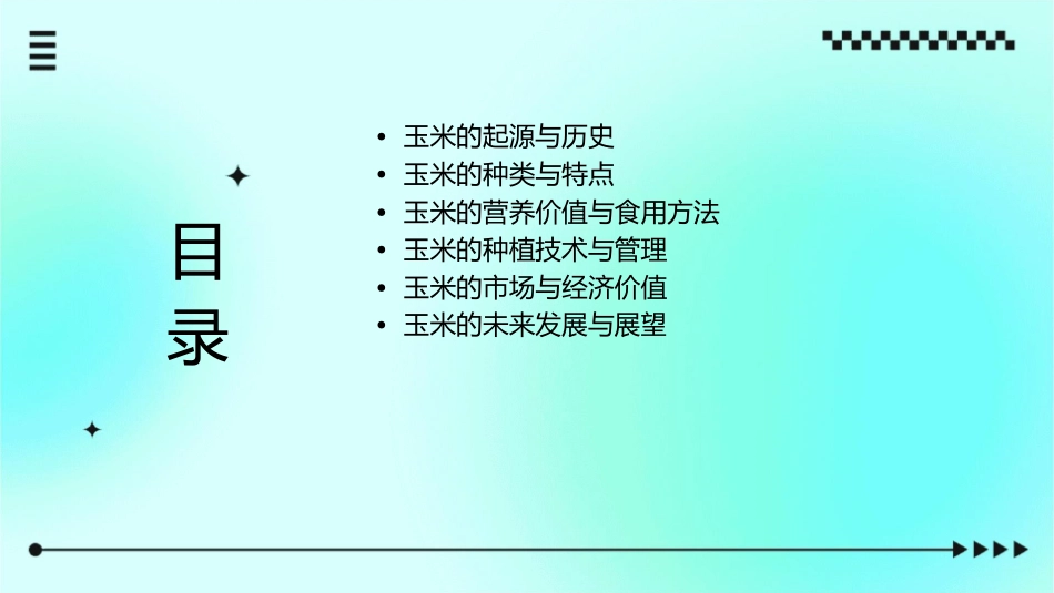 金色的玉米棒05037课件_第2页