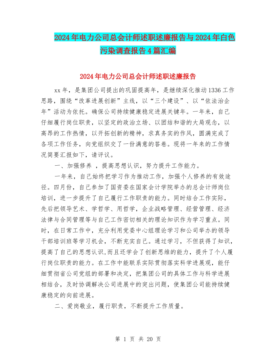 2024年电力公司总会计师述职述廉报告与2024年白色污染调查报告4篇汇编_第1页