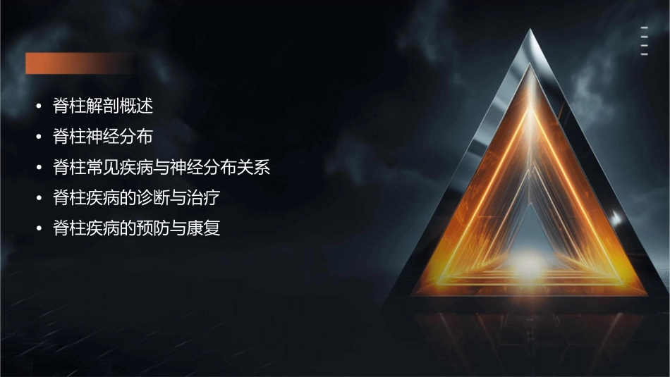 脊柱解剖与神经分布通用课件_第2页