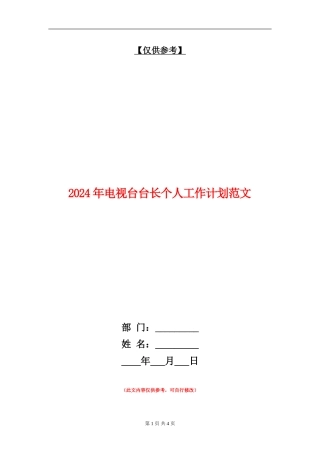 2024年电视台台长个人工作计划范文