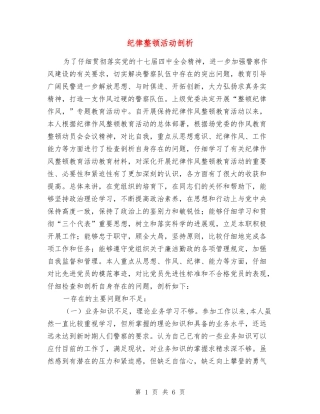 纪律整顿活动剖析