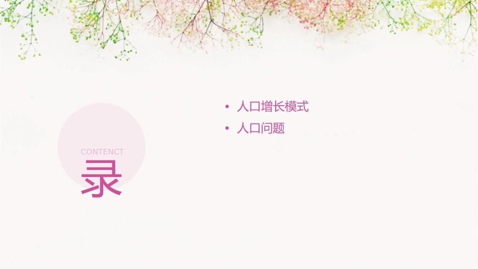 考点一人口增长模式与人口问题花花课件_第2页