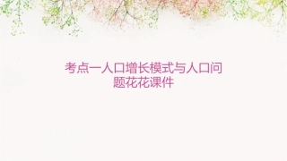 考点一人口增长模式与人口问题花花课件