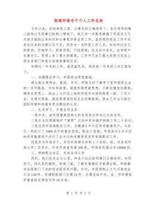 街道环保专干个人工作总结