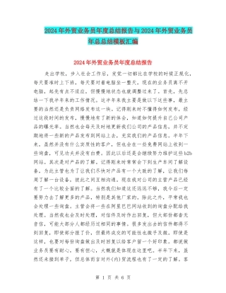 2024年外贸业务员年度总结报告与2024年外贸业务员年总总结模板汇编