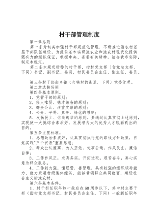 村干部管理规章制度 