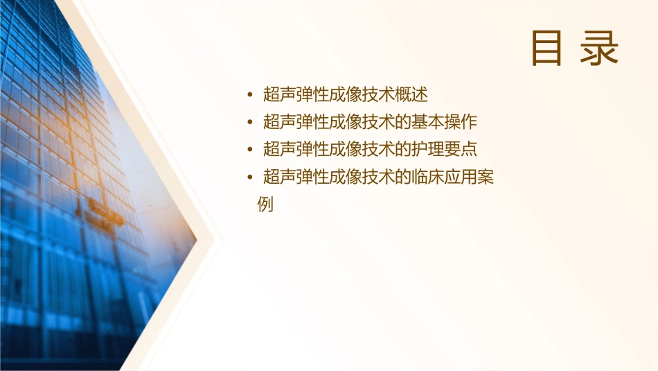 超声弹性成像技术护理课件_第2页