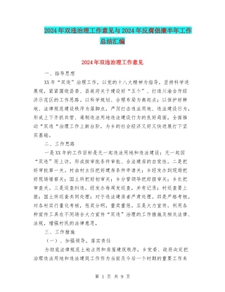 2024年双违治理工作意见与2024年反腐倡廉半年工作总结汇编