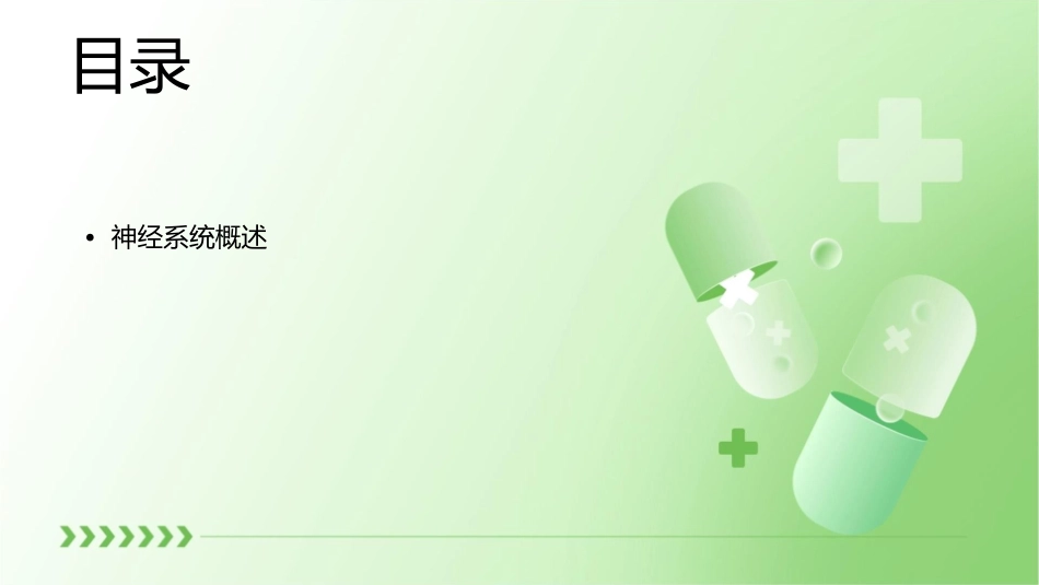 高三生物高考复习上海版神经系统中信息的传递和调节课件_第2页