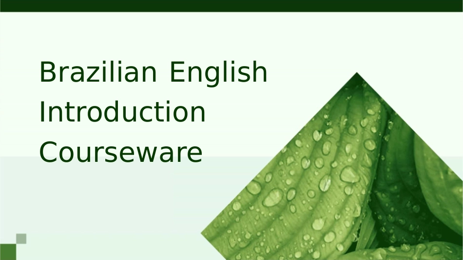 巴西英文介绍课件_第1页