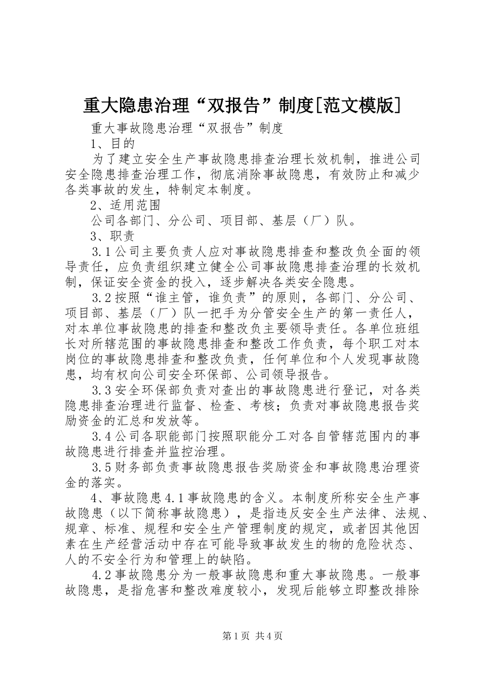 重大隐患治理“双报告”规章制度[范文模版]_第1页