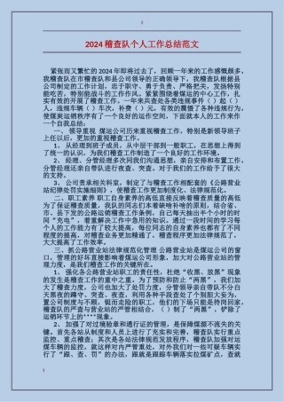 2017稽查队个人工作总结范文