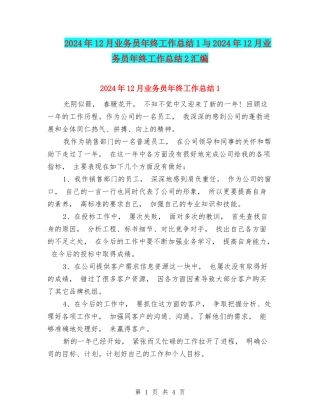 2024年12月业务员年终工作总结1与2024年12月业务员年终工作总结2汇编
