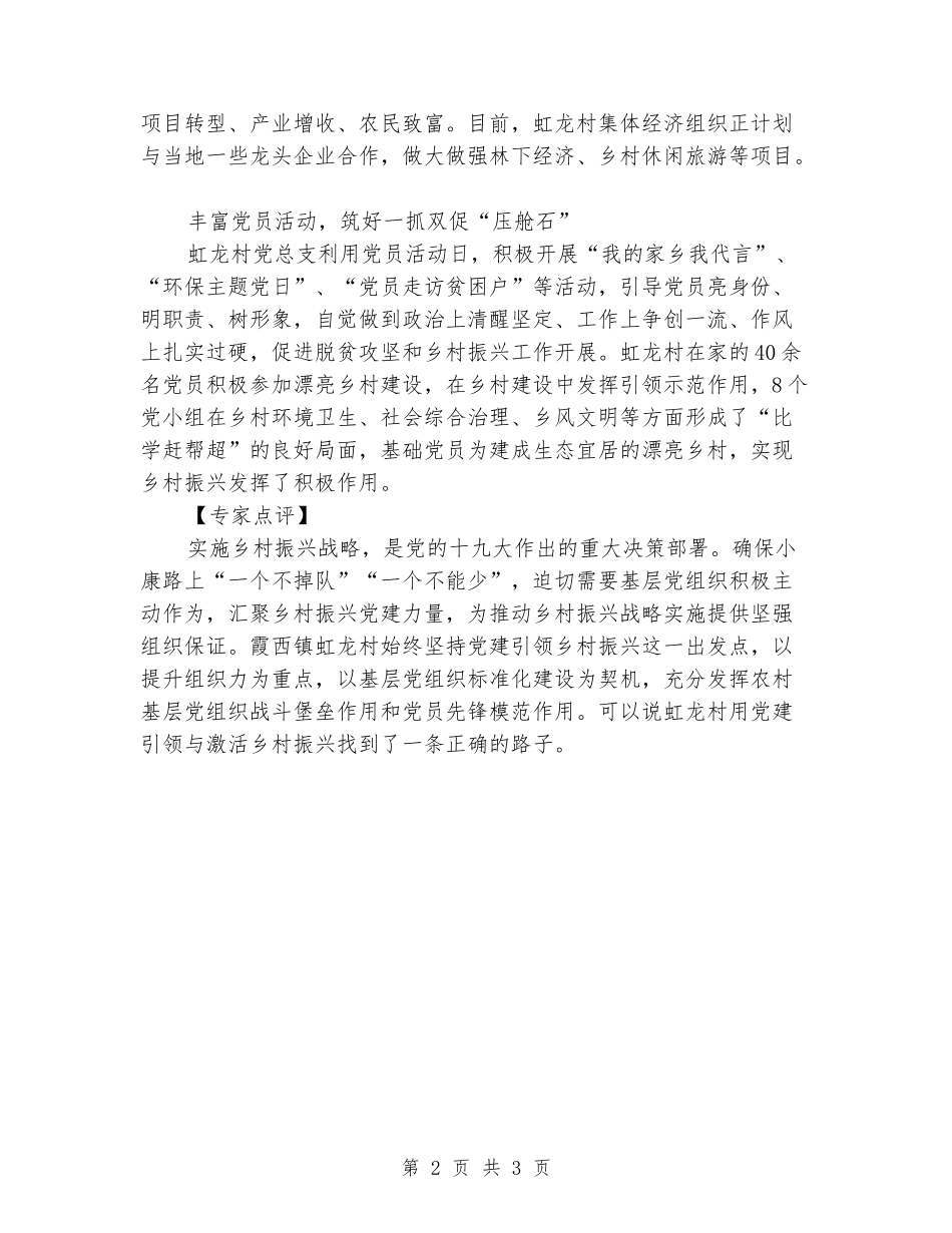 党建引领乡村振兴-虹龙村发展乡村振兴记实_第2页