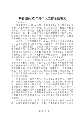 共青团员XX年终个人工作总结范文