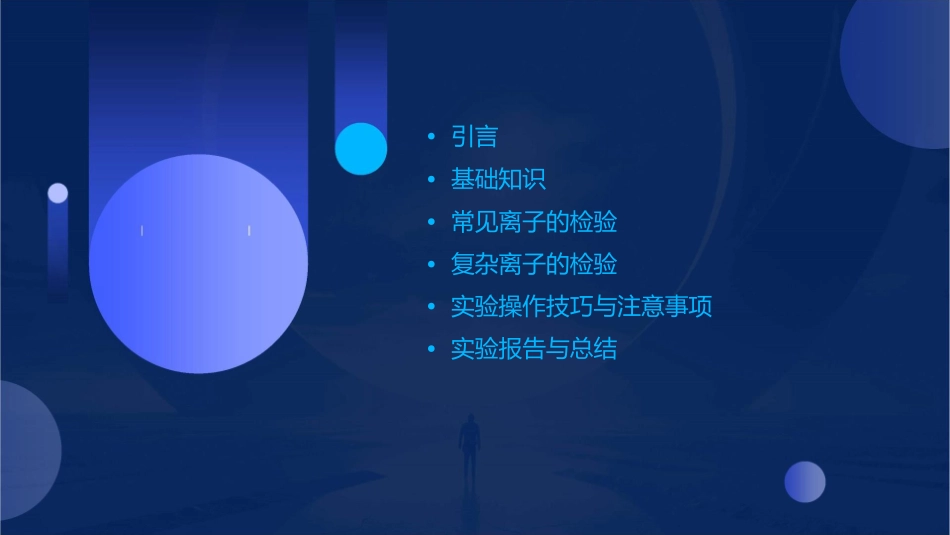 物质的检验离子课件_第2页