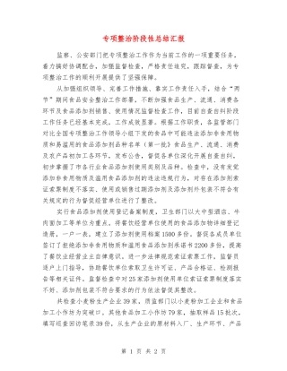 专项整治阶段性总结汇报