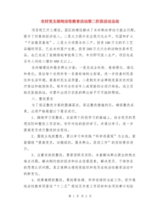 农村党支部纯洁性教育活动第二阶段活动总结