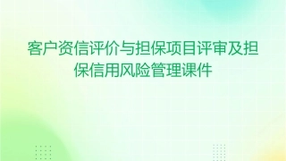 客户资信评价与担保项目评审及担保信用风险管理课件