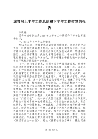 城管局上半年工作总结和下半年工作打算的报告