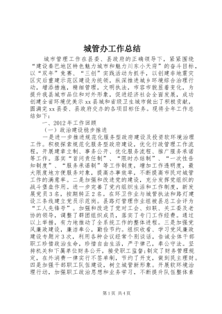 城管办工作总结