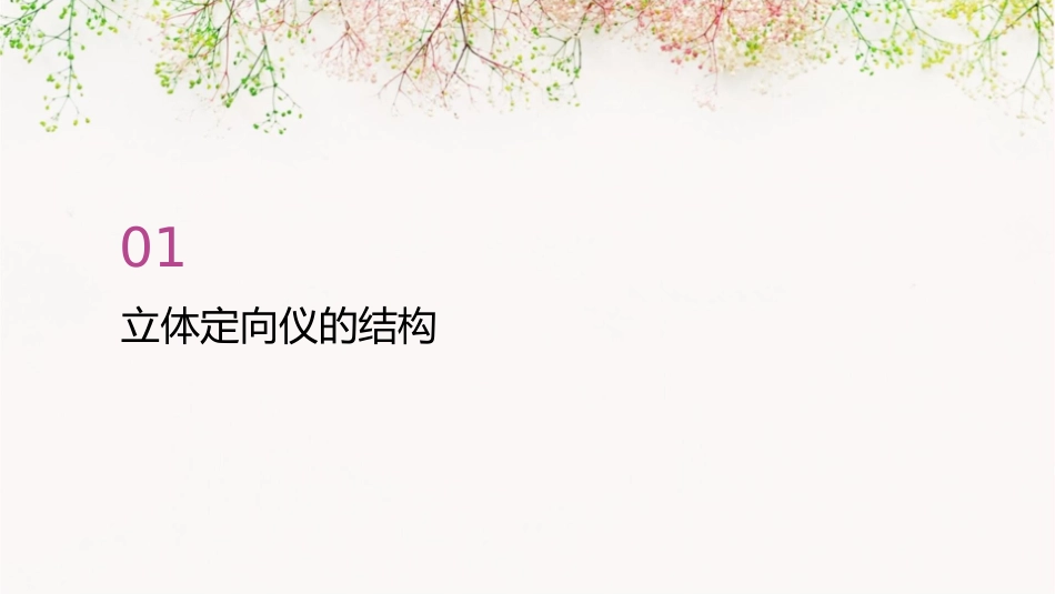 立体定向仪的结构和临床使用护理课件_第3页