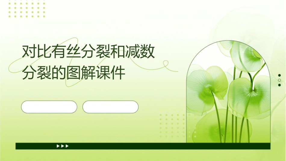 对比有丝分裂和减数分裂的图解课件_第1页