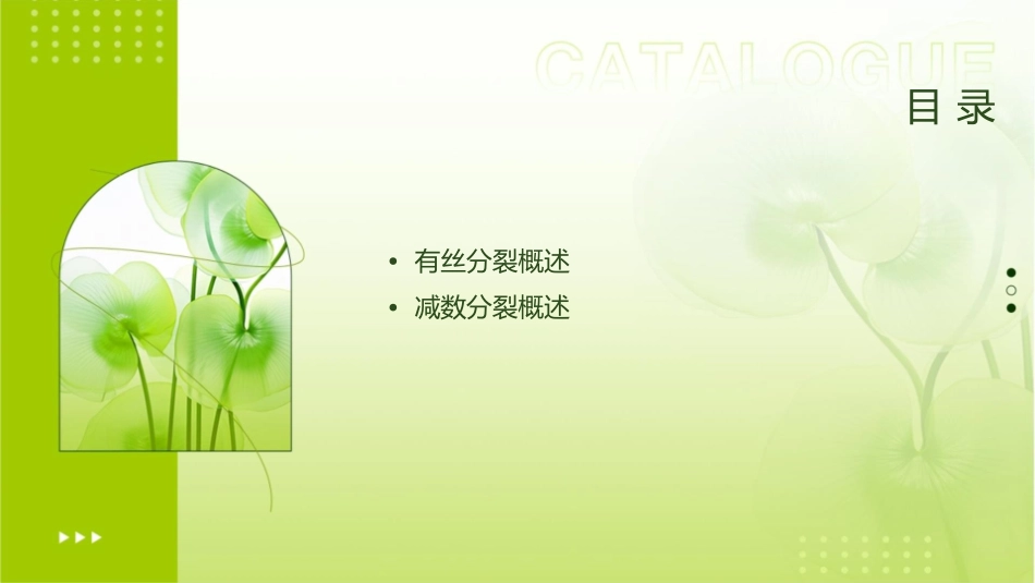 对比有丝分裂和减数分裂的图解课件_第2页