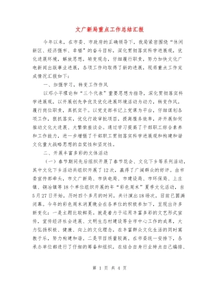 文广新局重点工作总结汇报