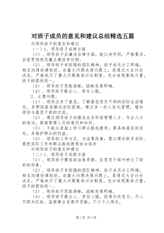 对班子成员的意见和建议总结精选五篇