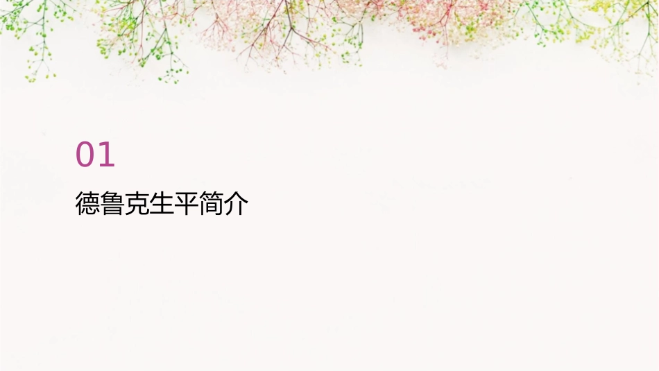 管理大師德魯克课件_第3页