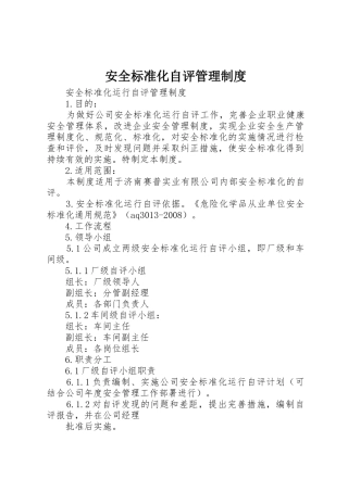 安全标准化自评管理规章制度细则