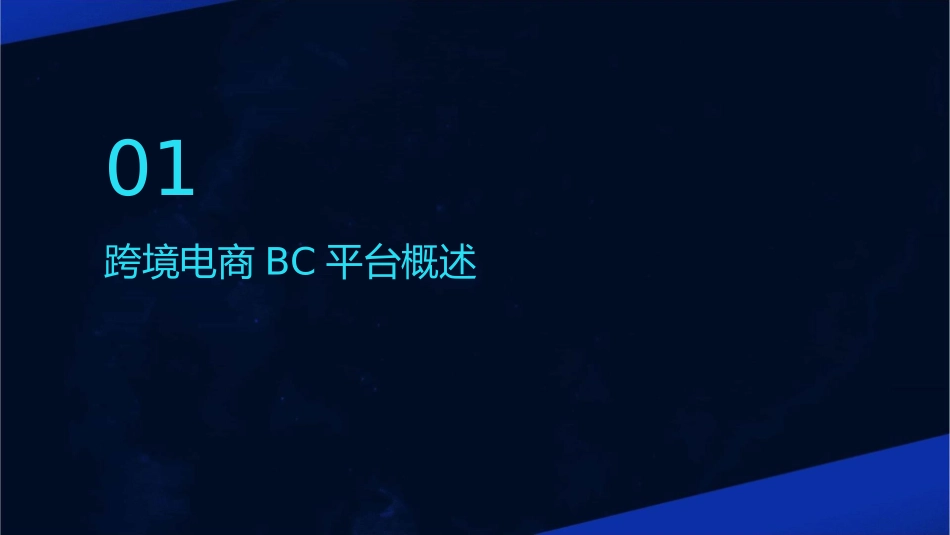 跨境电商BC平台选品课件_第3页