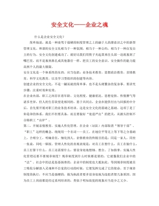 《安全文化》之安全文化——企业之魂 