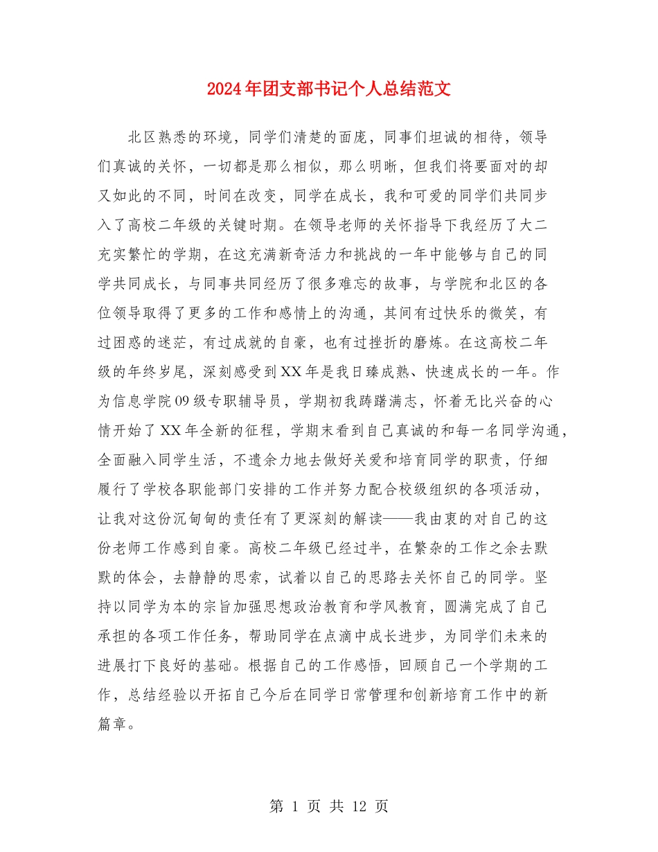 2024年团支部书记个人总结范文_第1页
